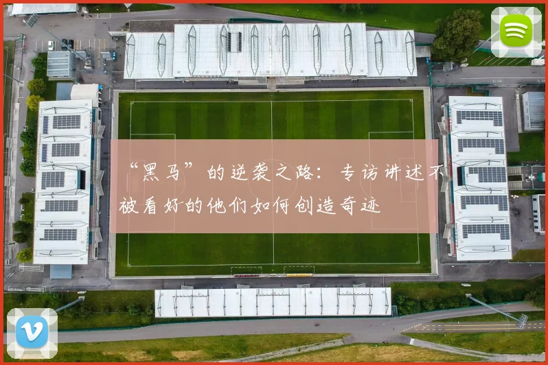 “黑马”的逆袭之路：专访讲述不被看好的他们如何创造奇迹